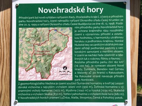 Foto 45